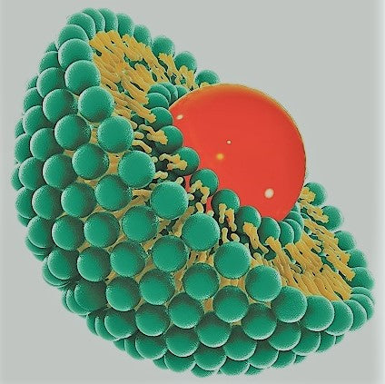 ReNew Retinol Facial Serum – 30ml